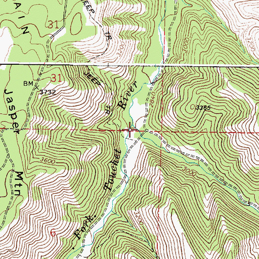 Topographic Map of Griffin Fork, WA