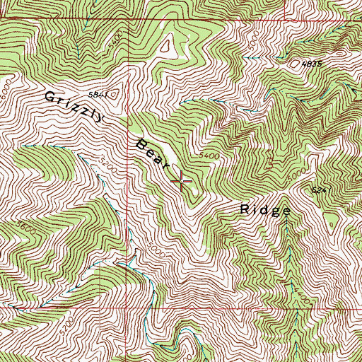 Topographic Map of Grizzly Bear Ridge, WA
