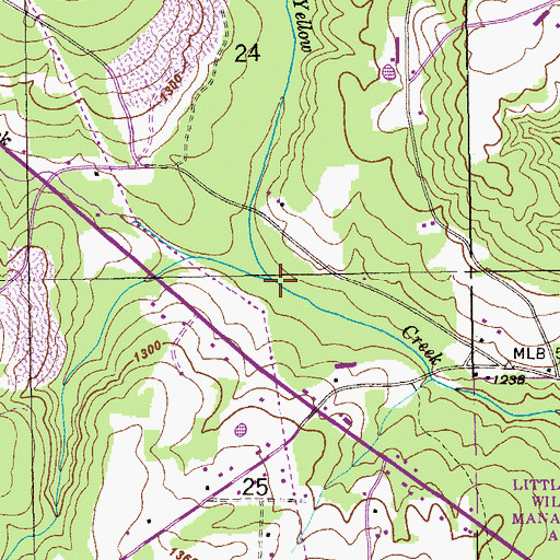 Topographic Map of Straight Creek, AL