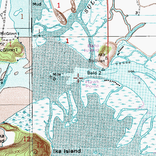 Topographic Map of Hawk Point, WA