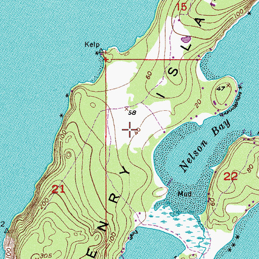 Topographic Map of Henry Island, WA