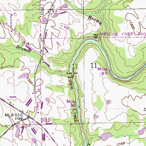 Topographic Map of Thompson Branch, AL