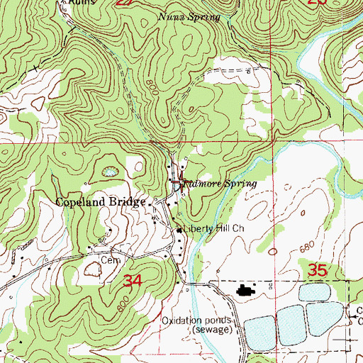 Topographic Map of Tidmore Spring, AL