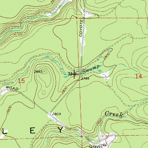 Topographic Map of Hog Swamp, WA