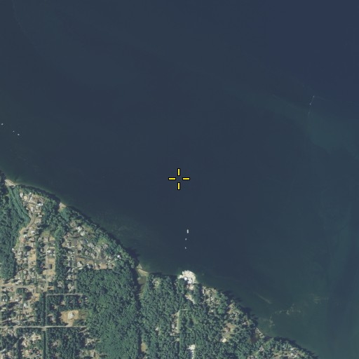 Aerial/Satellite Image of Hogum Bay, WA