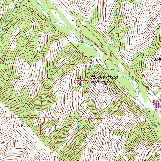 Topographic Map of Homestead Spring, WA