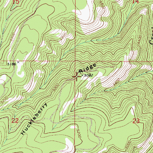 Topographic Map of Huckleberry Ridge, WA