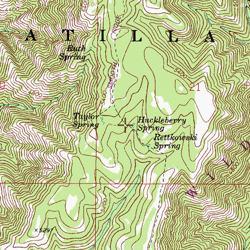 Topographic Map of Huckleberry Spring, WA