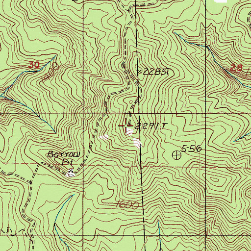 Topographic Map of Incline Lookout, WA