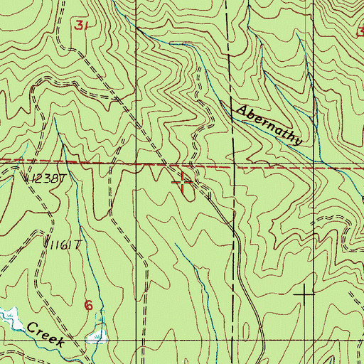 Topographic Map of Incline Truck Trail, WA
