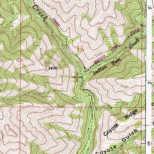Topographic Map of Indian Tom Creek, WA