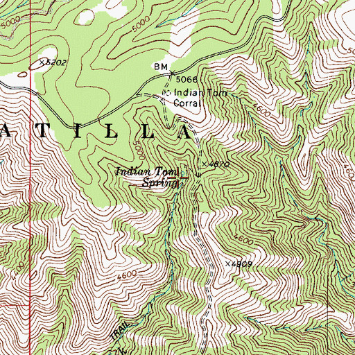 Topographic Map of Indian Tom Spring, WA