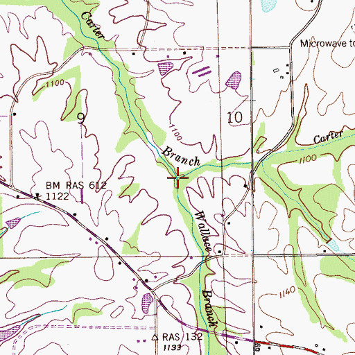 Topographic Map of Wallace Branch, AL