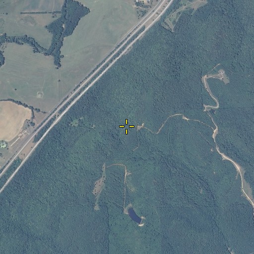 Aerial/Satellite Image of Ward Gap, AL