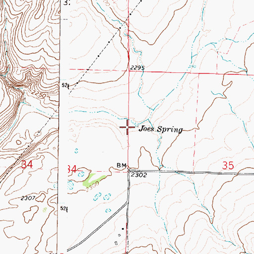 Topographic Map of Joes Spring, WA