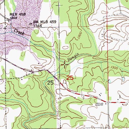 Topographic Map of West Fork Bengis Creek, AL
