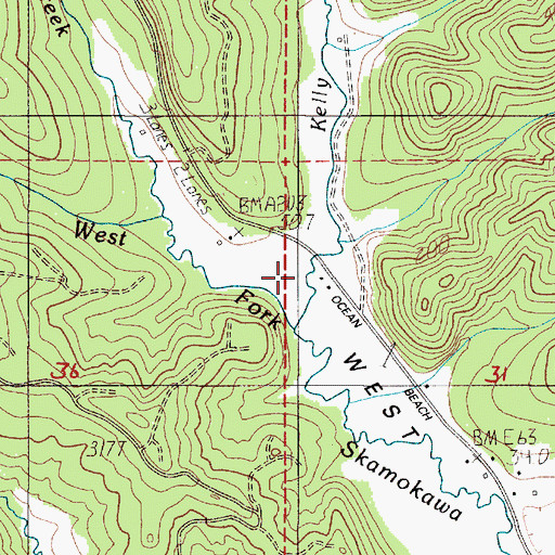 Topographic Map of Kelly Creek, WA