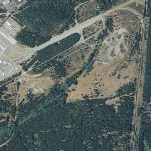 Aerial/Satellite Image of Kinsey Marsh, WA
