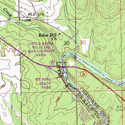 Topographic Map of Yellow Creek, AL