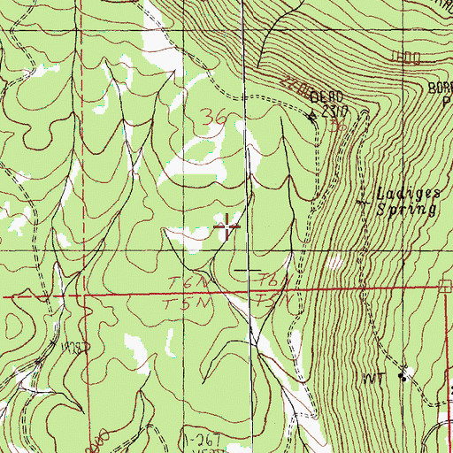 Topographic Map of Ladies Spring, WA