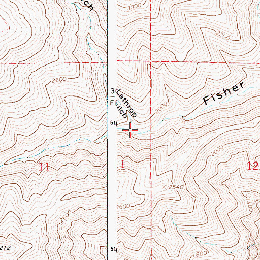 Topographic Map of Lathrop Gulch, WA