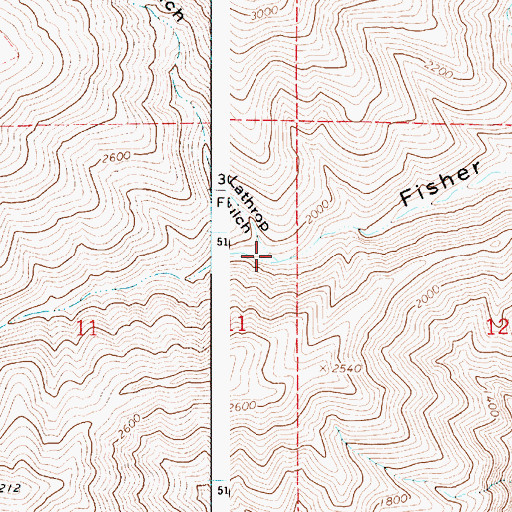 Topographic Map of Lathrop Gulch, WA