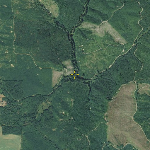 Aerial/Satellite Image of Laughlin Creek, WA