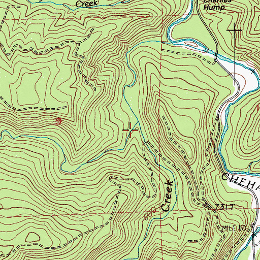 Topographic Map of Lester Creek, WA