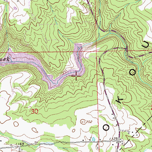 Topographic Map of Cash Dam, AL