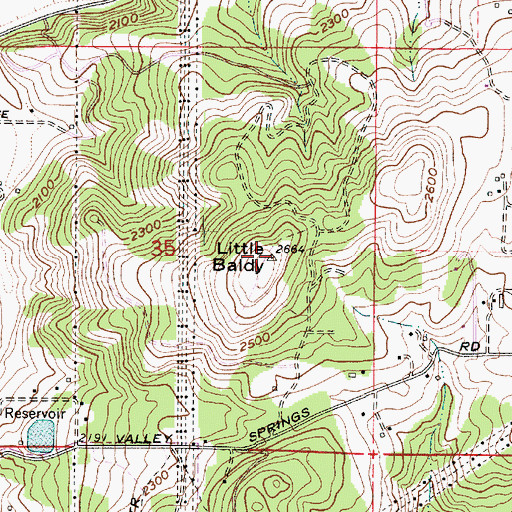 Topographic Map of Little Baldy, WA