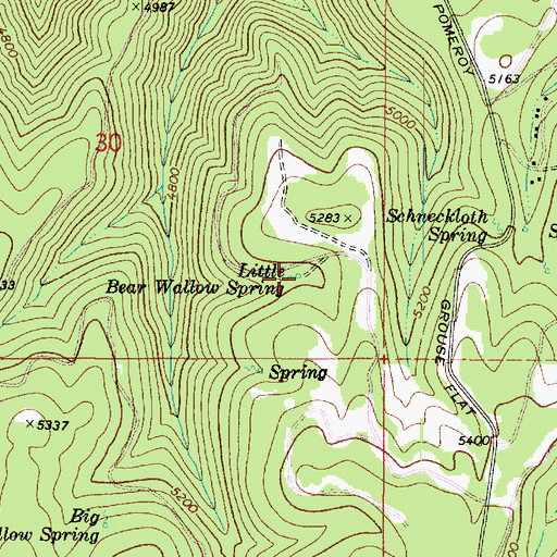Topographic Map of Little Bear Wallow Spring, WA