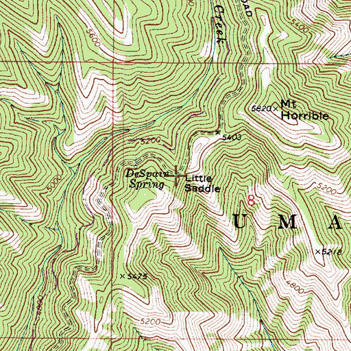 Topographic Map of Little Saddle, WA