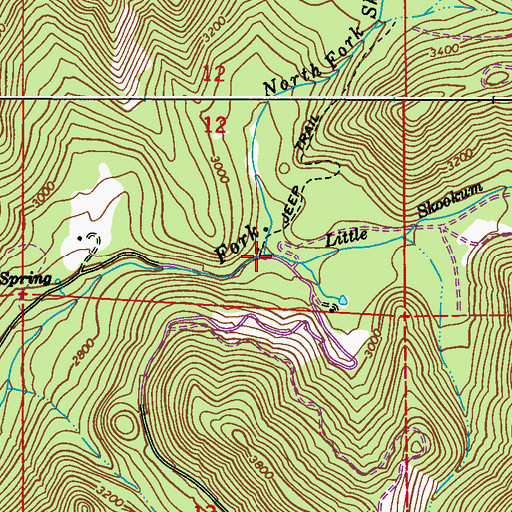 Topographic Map of Little Skookum Creek, WA