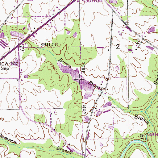 Topographic Map of Chitwoods Lake, AL