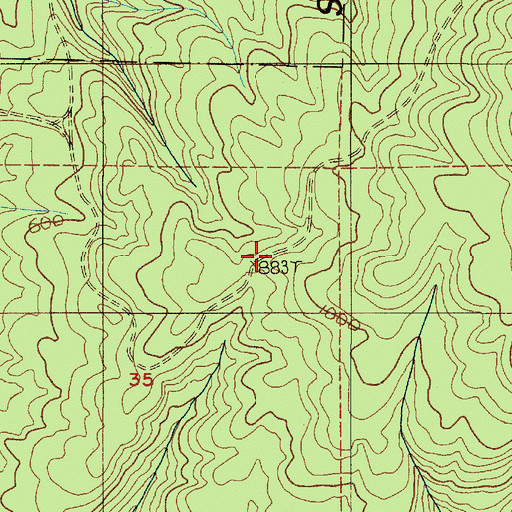 Topographic Map of Little Spur Truck Trail, WA