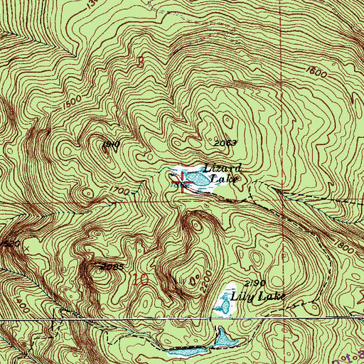 Topographic Map of Lizard Lake, WA