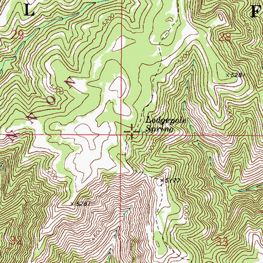 Topographic Map of Lodgepole Spring, WA