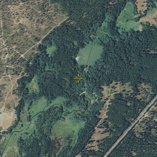 Aerial/Satellite Image of Long Woods, WA