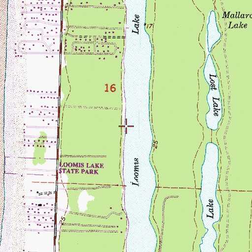 Topographic Map of Loomis Lake, WA