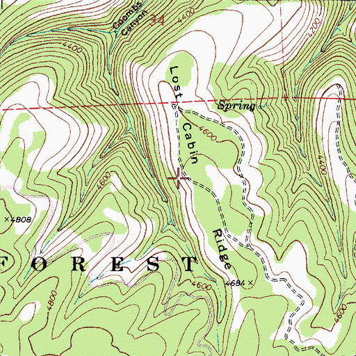 Topographic Map of Lost Cabin Ridge, WA