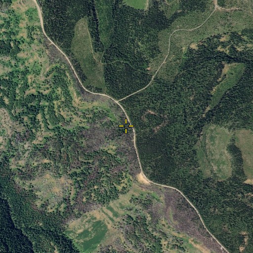 Aerial/Satellite Image of Lost Trail Spring, WA