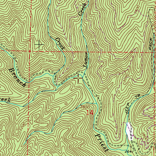 Topographic Map of Lunar Creek, WA