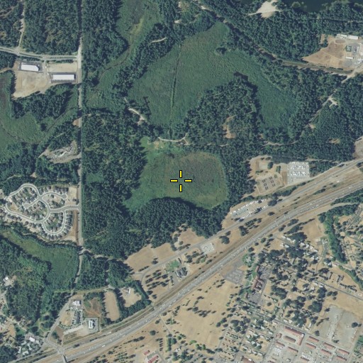 Aerial/Satellite Image of MacKay Marsh, WA