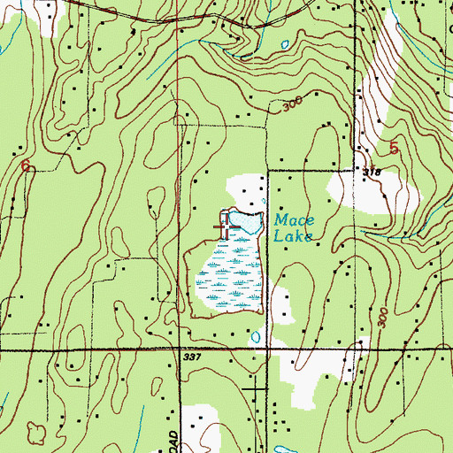 Topographic Map of Mace Lake, WA