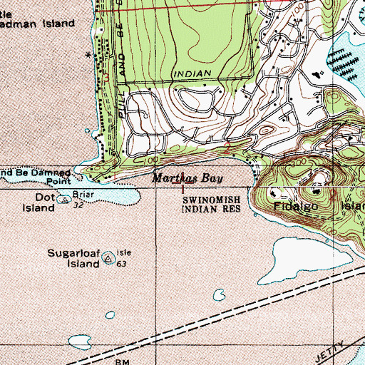 Topographic Map of Marthas Bay, WA
