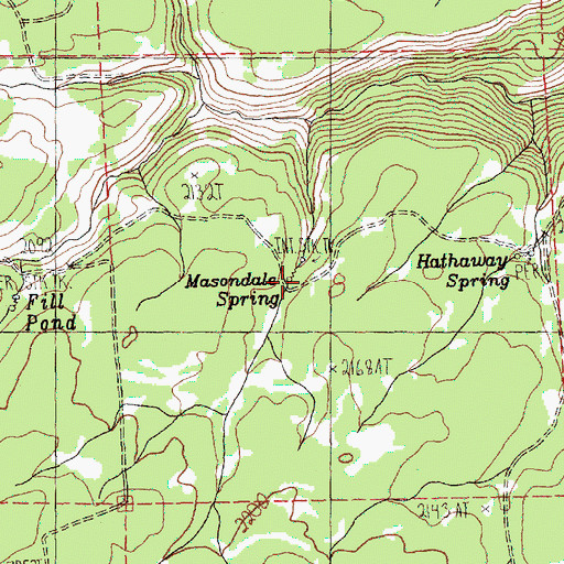 Topographic Map of Masondale Spring, WA