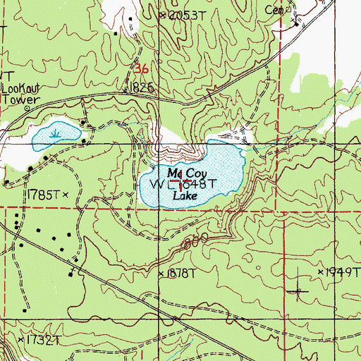 Topographic Map of McCoy Lake, WA
