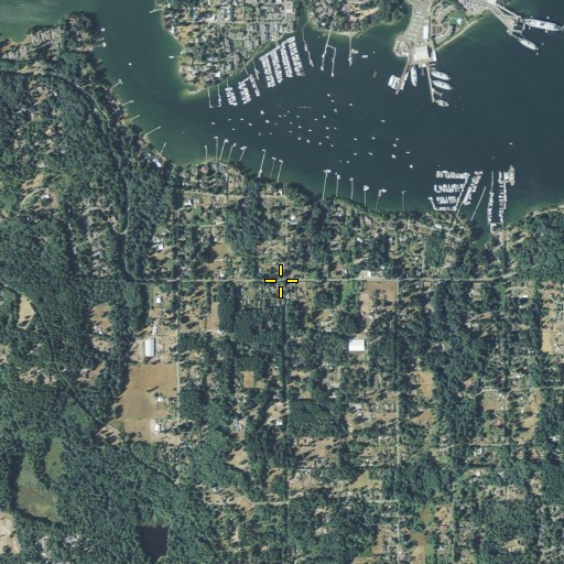 Aerial/Satellite Image of McDonald School, WA