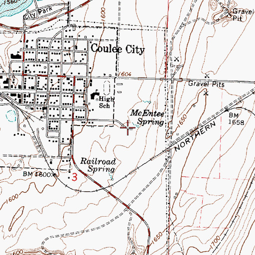 Topographic Map of McEntee Spring, WA