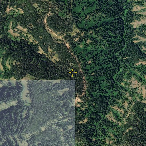 Aerial/Satellite Image of Mead Spring, WA